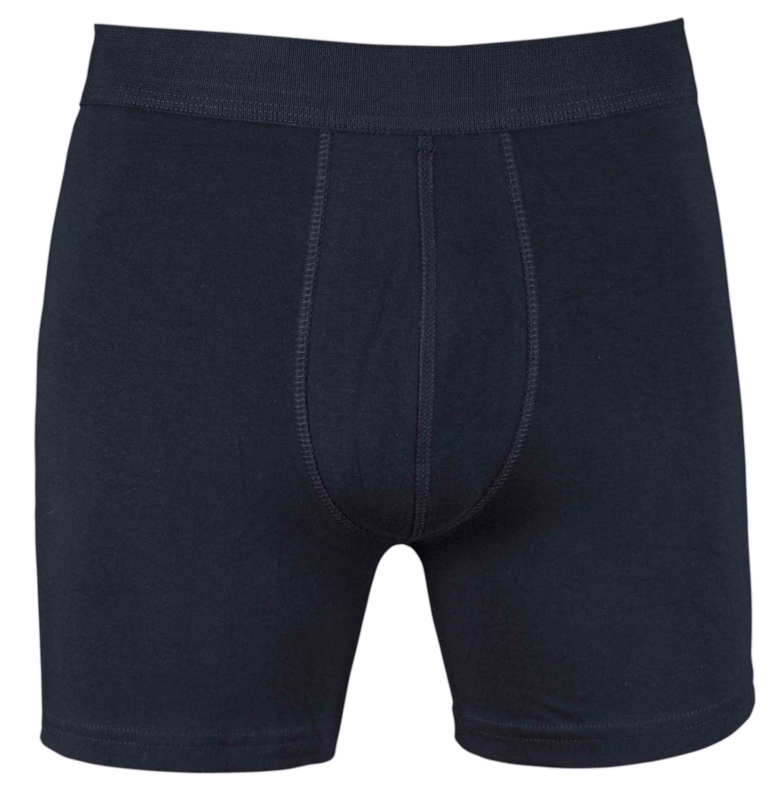 Boxer